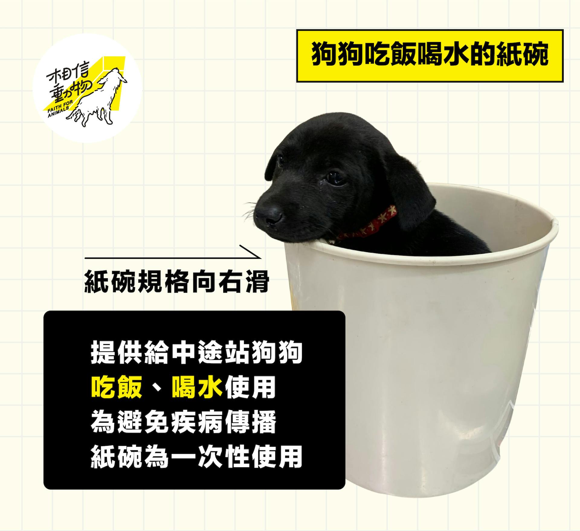 狗狗吃飯喝水用！二手紙碗