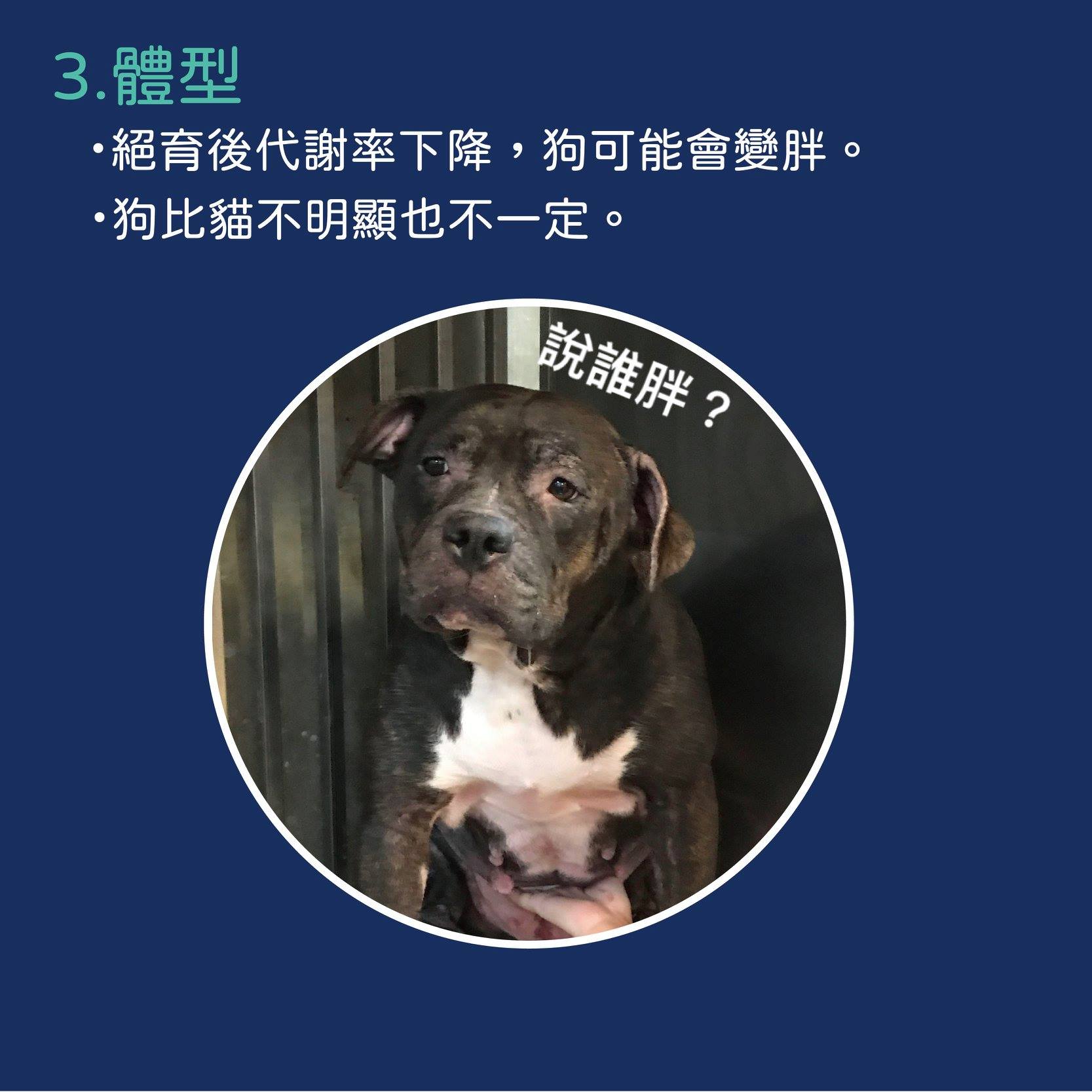 ．體型