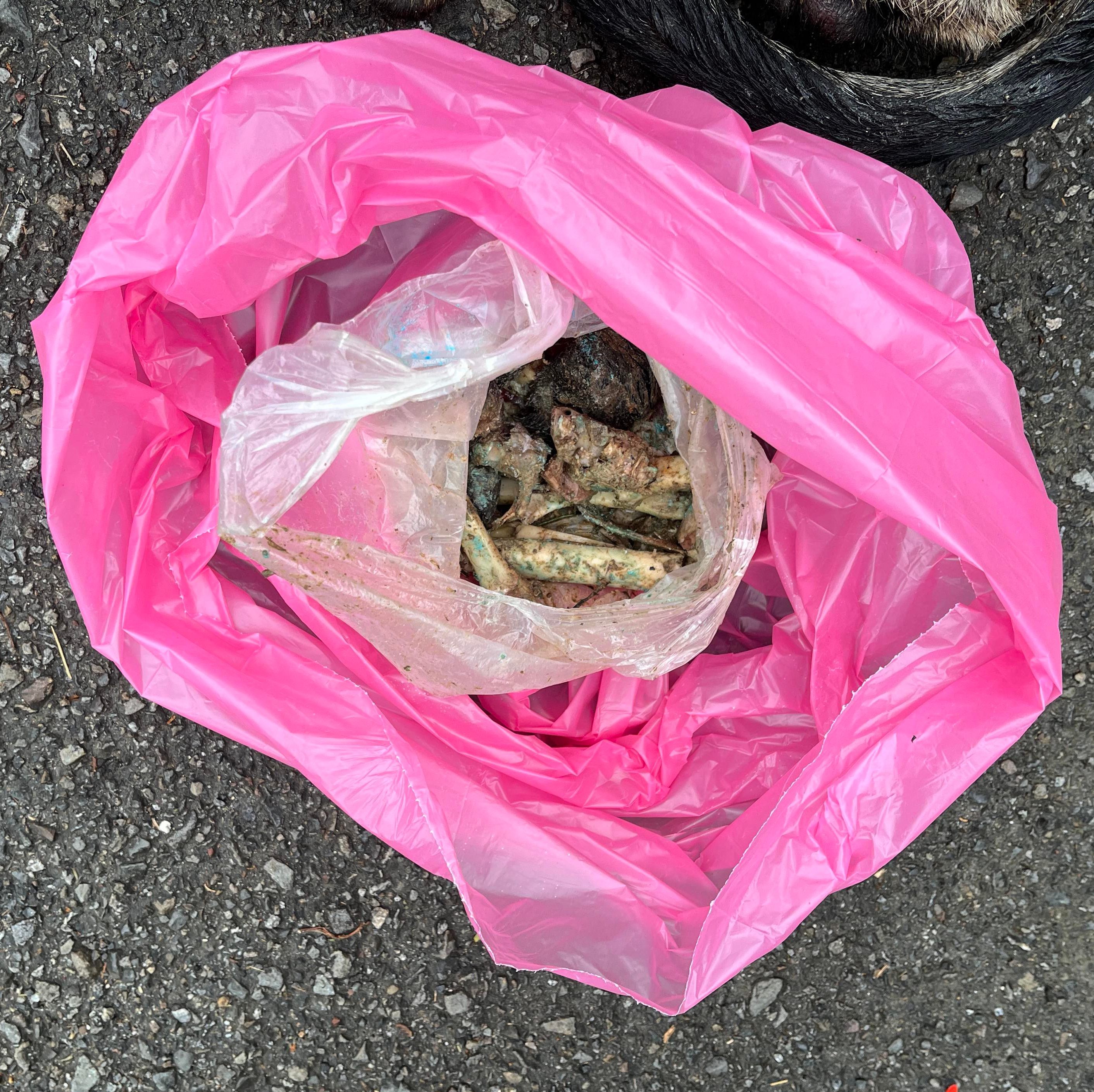 沾滿毒物的骨頭