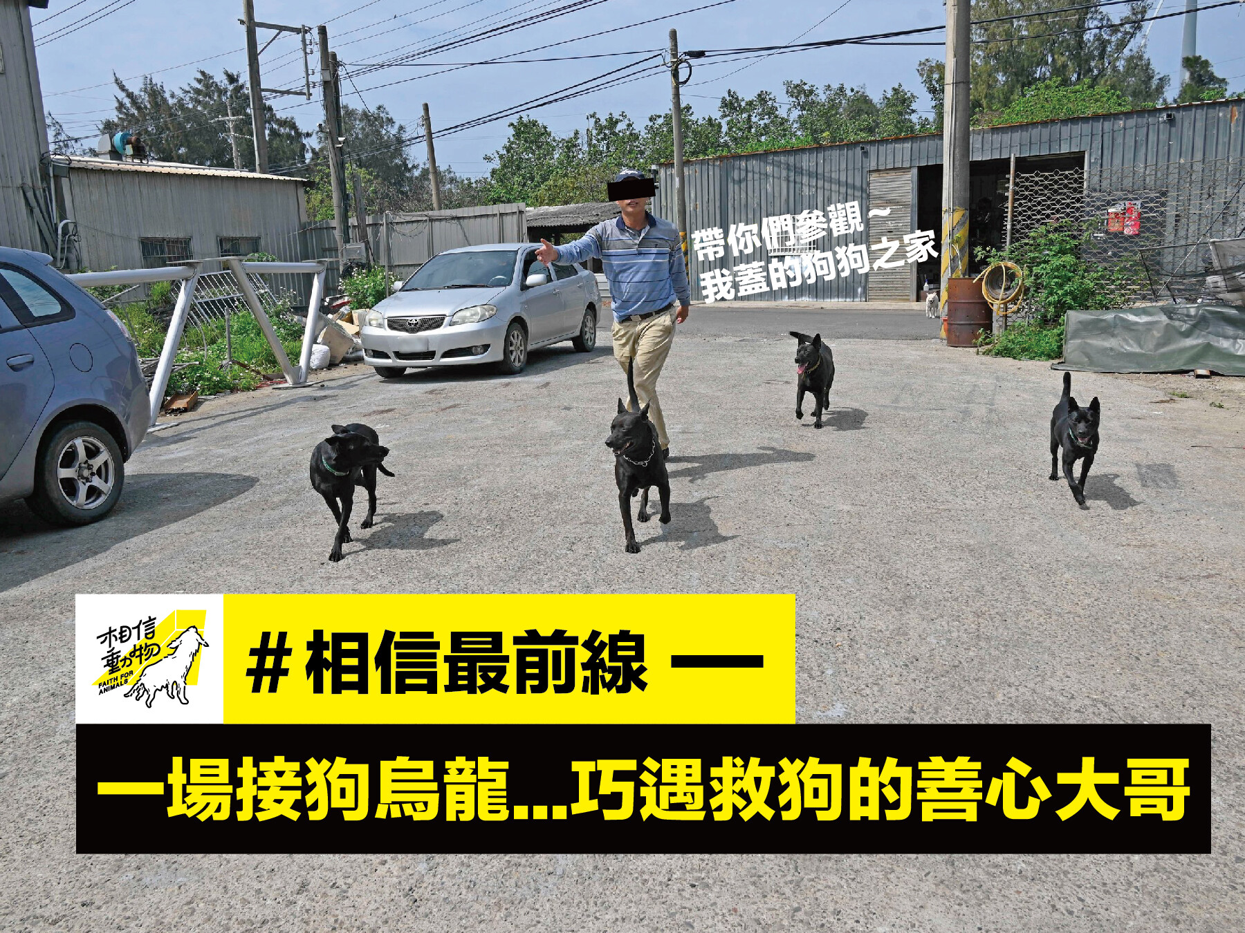 他走到哪裡都被這些他沿街救援的狗狗們團團簇擁，畫面十分逗趣。